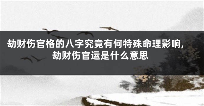劫财伤官格的八字究竟有何特殊命理影响,劫财伤官运是什么意思