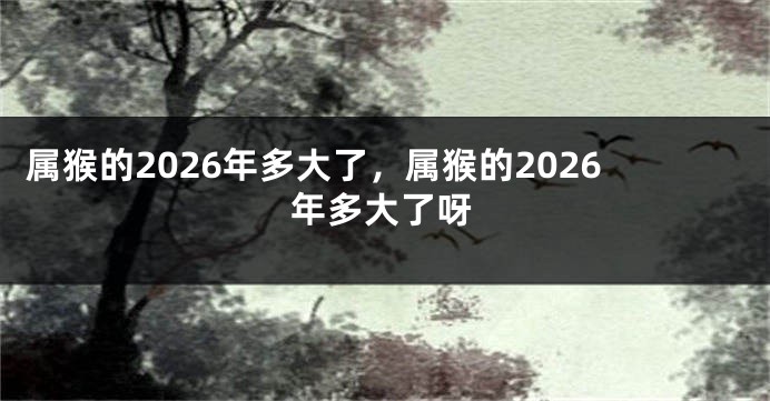 属猴的2026年多大了，属猴的2026年多大了呀