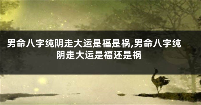 男命八字纯阴走大运是福是祸,男命八字纯阴走大运是福还是祸