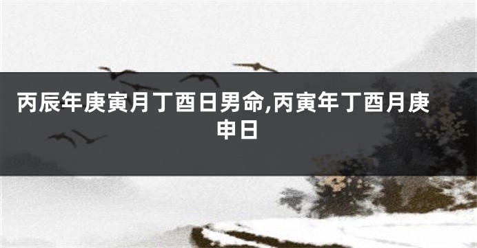 丙辰年庚寅月丁酉日男命,丙寅年丁酉月庚申日