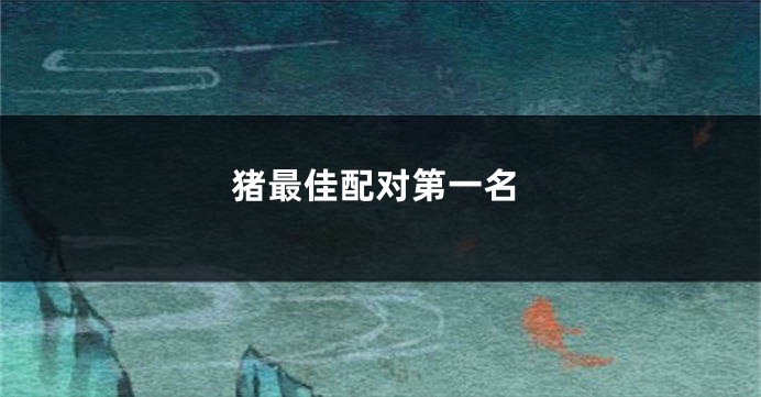猪最佳配对第一名