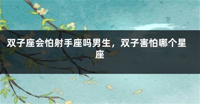 双子座会怕射手座吗男生,双子害怕哪个星座