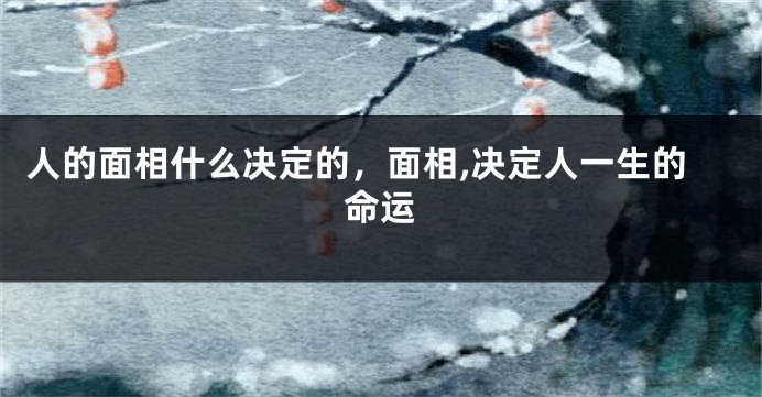 人的面相什么决定的,面相,决定人一生的命运