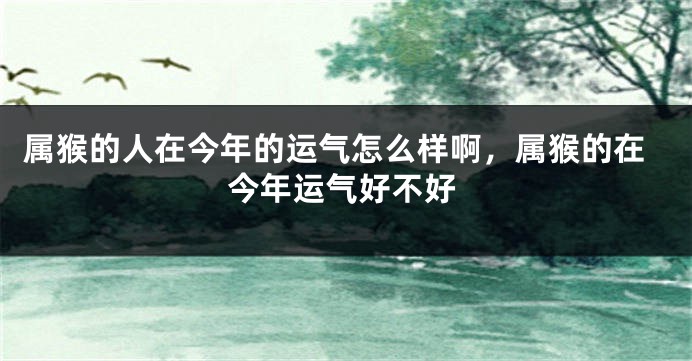 属猴的人在今年的运气怎么样啊，属猴的在今年运气好不好
