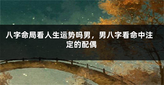 八字命局看人生运势吗男,男八字看命中注定的配偶