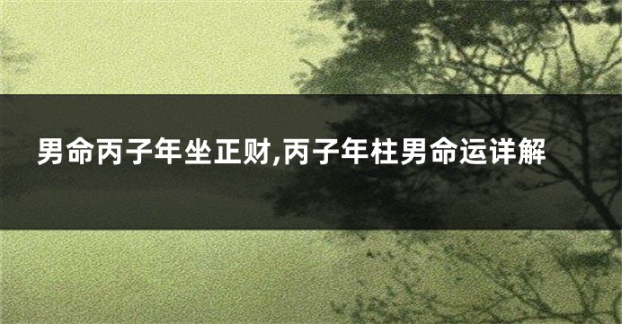 男命丙子年坐正财,丙子年柱男命运详解