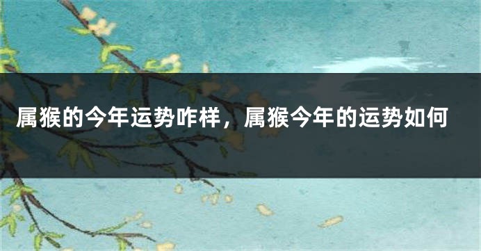 属猴的今年运势咋样，属猴今年的运势如何
