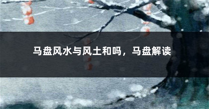 马盘风水与风土和吗，马盘解读