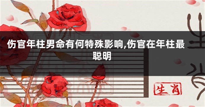 伤官年柱男命有何特殊影响,伤官在年柱最聪明