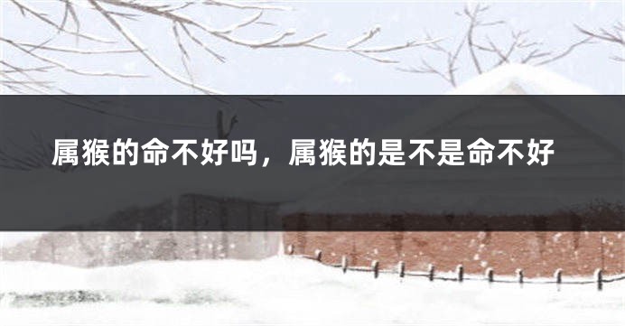 属猴的命不好吗,属猴的是不是命不好