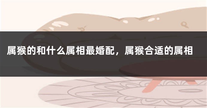 属猴的和什么属相最婚配,属猴合适的属相