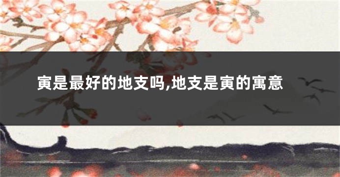 寅是最好的地支吗,地支是寅的寓意
