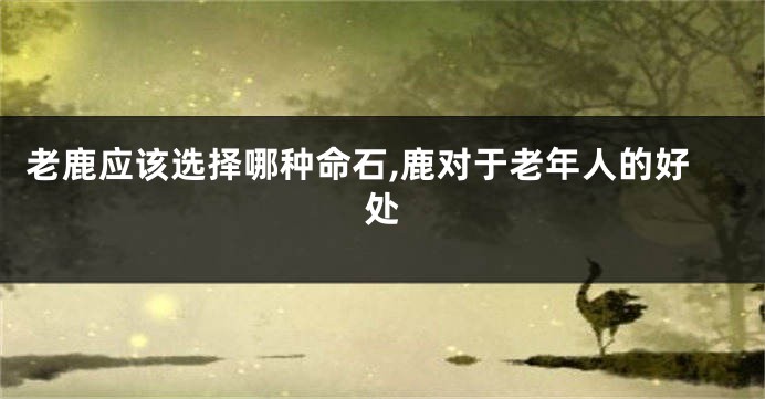 老鹿应该选择哪种命石,鹿对于老年人的好处