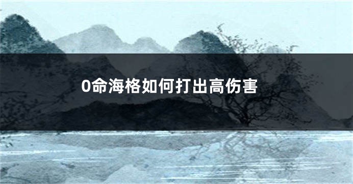 0命海格如何打出高伤害