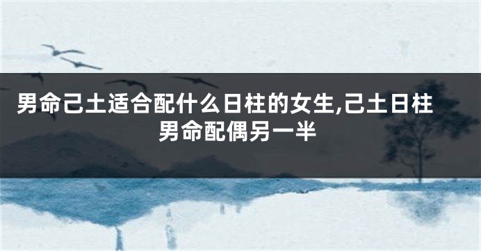 男命己土适合配什么日柱的女生,己土日柱男命配偶另一半