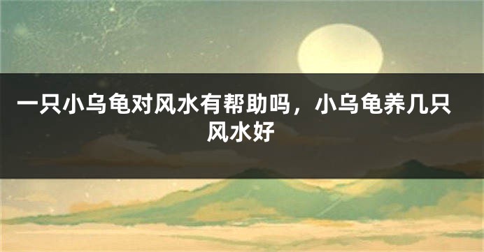 一只小乌龟对风水有帮助吗，小乌龟养几只风水好