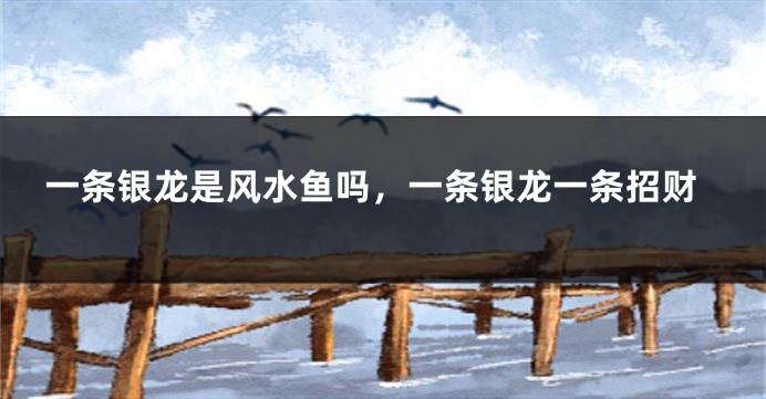 一条银龙是风水鱼吗,一条银龙一条招财