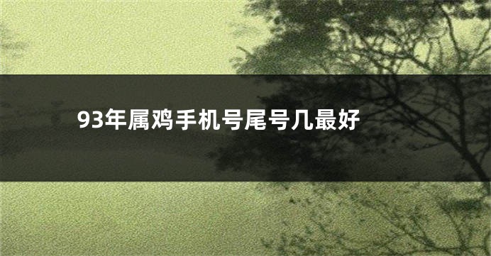 93年属鸡手机号尾号几最好 
