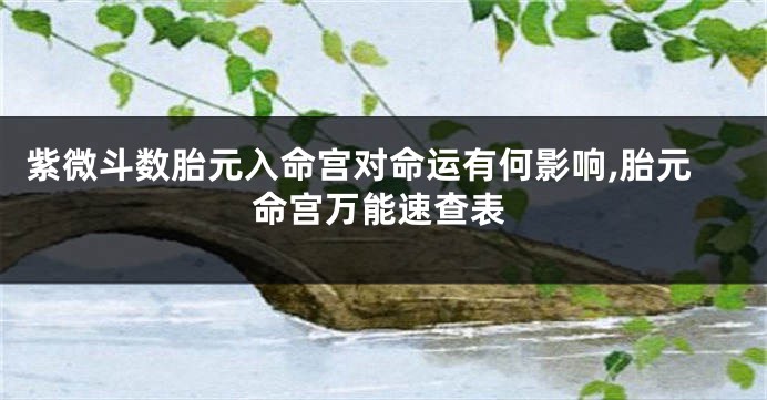 紫微斗数胎元入命宫对命运有何影响,胎元命宫万能速查表