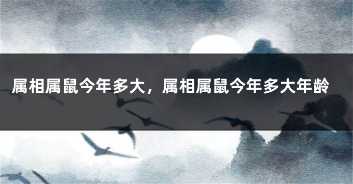属相属鼠今年多大，属相属鼠今年多大年龄