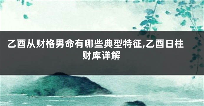 乙酉从财格男命有哪些典型特征,乙酉日柱财库详解