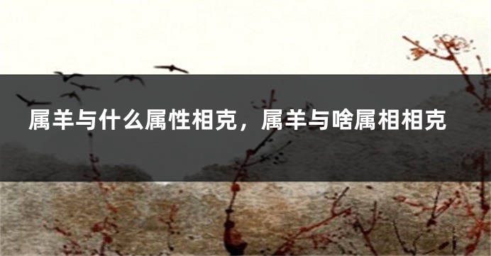 属羊与什么属性相克,属羊与啥属相相克