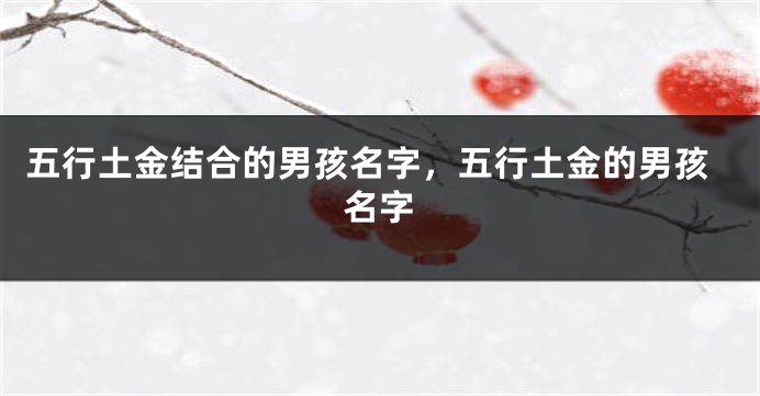 五行土金结合的男孩名字,五行土金的男孩名字