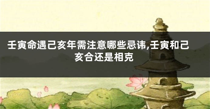 壬寅命遇己亥年需注意哪些忌讳,壬寅和己亥合还是相克