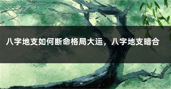 八字地支如何断命格局大运，八字地支暗合