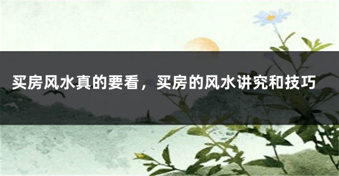买房风水真的要看,买房的风水讲究和技巧