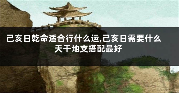 己亥日乾命适合行什么运,己亥日需要什么天干地支搭配最好