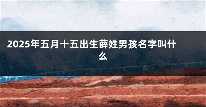 2025年五月十五出生薛姓男孩名字叫什么