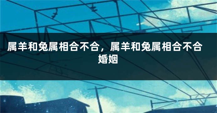 属羊和兔属相合不合，属羊和兔属相合不合婚姻
