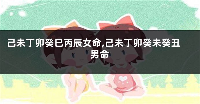 己未丁卯癸巳丙辰女命,己未丁卯癸未癸丑男命