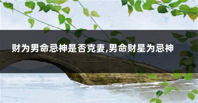 财为男命忌神是否克妻,男命财星为忌神