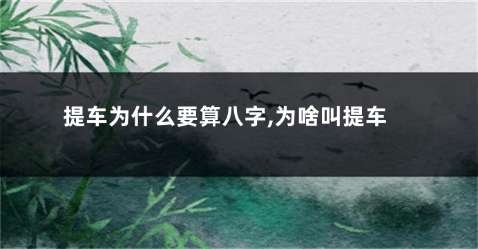 提车为什么要算八字,为啥叫提车