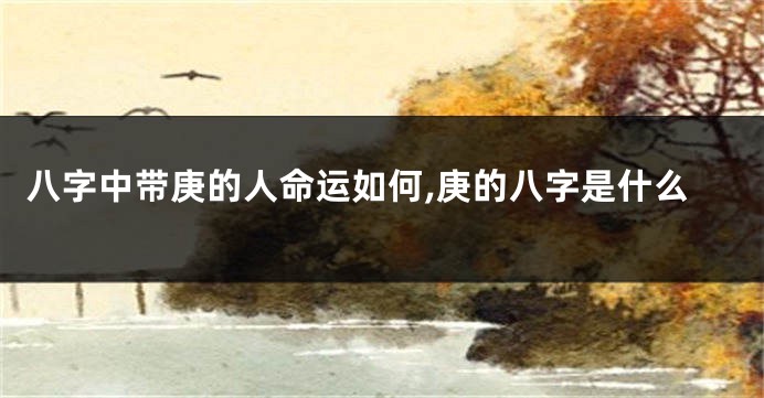 八字中带庚的人命运如何,庚的八字是什么