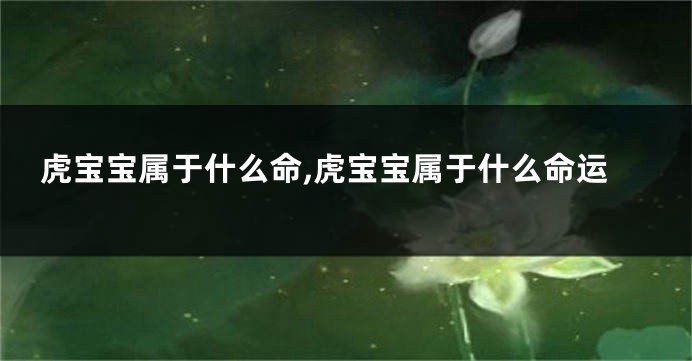 虎宝宝属于什么命,虎宝宝属于什么命运