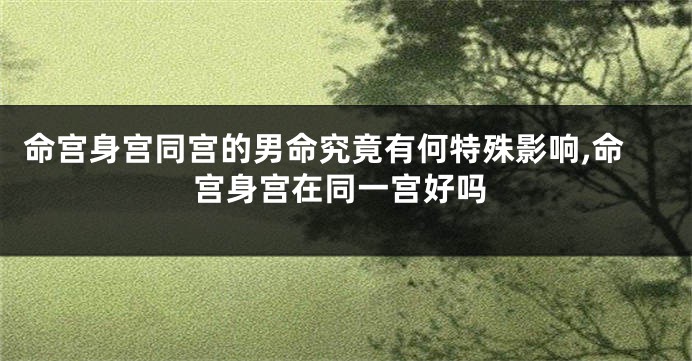 命宫身宫同宫的男命究竟有何特殊影响,命宫身宫在同一宫好吗