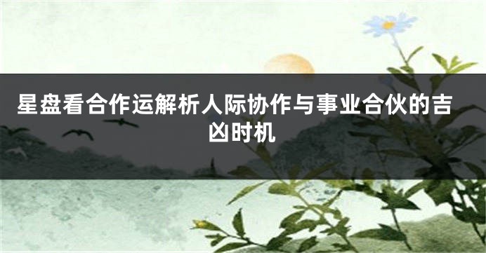 星盘看合作运解析人际协作与事业合伙的吉凶时机