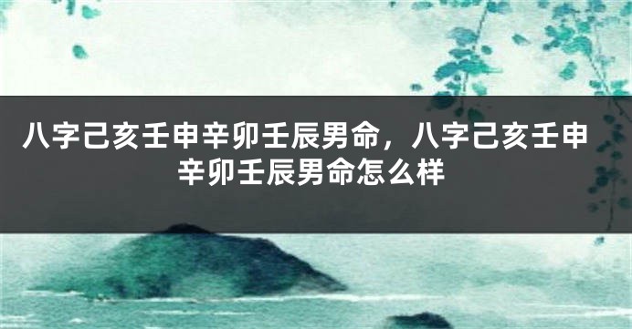 八字己亥壬申辛卯壬辰男命，八字己亥壬申辛卯壬辰男命怎么样