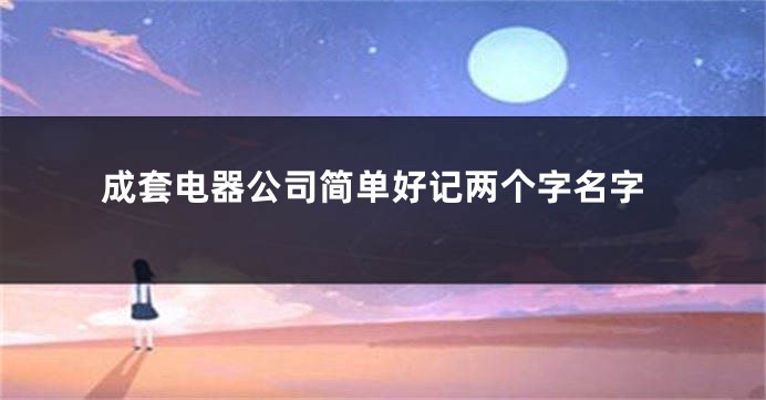 成套电器公司简单好记两个字名字