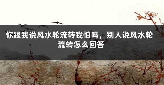 你跟我说风水轮流转我怕吗，别人说风水轮流转怎么回答