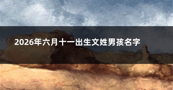 2026年六月十一出生文姓男孩名字