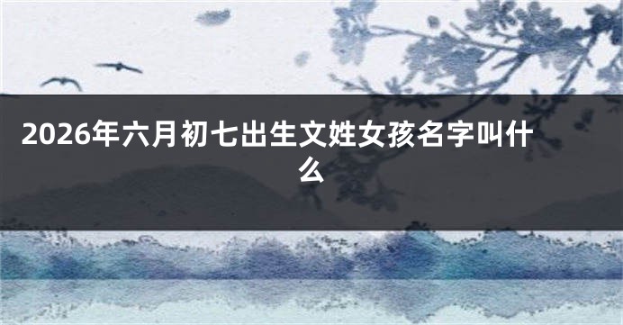 2026年六月初七出生文姓女孩名字叫什么