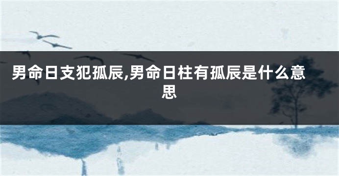 男命日支犯孤辰,男命日柱有孤辰是什么意思