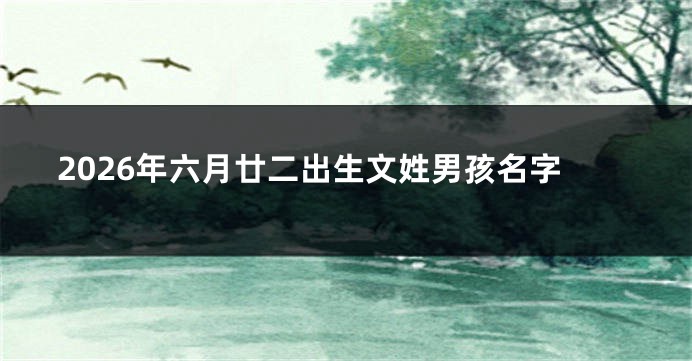 2026年六月廿二出生文姓男孩名字