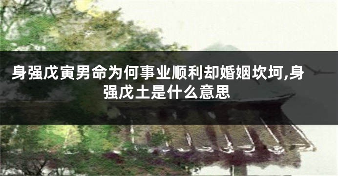 身强戊寅男命为何事业顺利却婚姻坎坷,身强戊土是什么意思