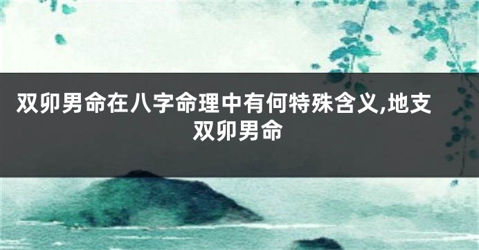 双卯男命在八字命理中有何特殊含义,地支双卯男命