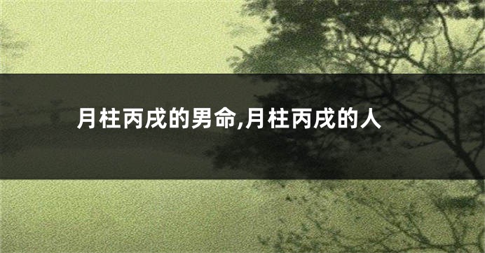 月柱丙戌的男命,月柱丙戌的人